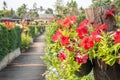 The wooden bridge park full of flowers Royalty Free Stock Photo