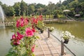 The wooden bridge park full of flowers Royalty Free Stock Photo