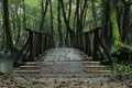 Wooden bridge in the park, mysterious forest Royalty Free Stock Photo