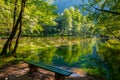 Wooden bridge in the park Royalty Free Stock Photo