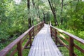 Wooden bridge path winding through green forest, nature photo