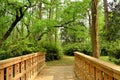 Wooden Bridge Pathway Into The Woods Royalty Free Stock Photo