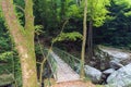 Wooden bridge in Pelion forest Royalty Free Stock Photo