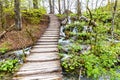 Wooden Bridge In Plitvice National Park,Croatia Royalty Free Stock Photo