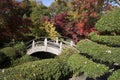 Wooden bridge in pretty Japanese garden Royalty Free Stock Photo