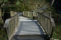 Wooden Bridge with railings in parkland