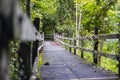 Wooden bridge in the rainforest of Borneo. Near the Orang Utan sanctuary Sepilok, Sabah, foot path in the jungle, crossing a small