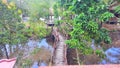 wooden bridge in a recreation pond