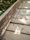 Wooden buildings. Detail with screws torn off the floorboards of an old wooden deck Royalty Free Stock Photo