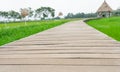 A wooden bridge in a rice field Royalty Free Stock Photo