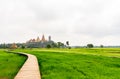 A wooden bridge in a rice field Royalty Free Stock Photo