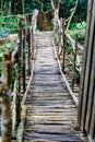 Wooden Bridge in rainforest Landscape, Madagascar Royalty Free Stock Photo