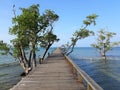 The wooden bridge in the sea with beautiful bright blue sky and some tree