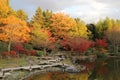 A wooden bridge on the shore of a Japanese lake in autumn