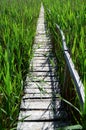 Wooden Bridge at Sic