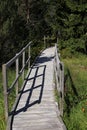 Wooden bridge Royalty Free Stock Photo