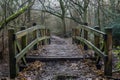 A wooden bridge stretches over a forest trail surrounded by trees, A woodland trail with rustic wooden bridges and hidden Royalty Free Stock Photo