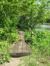 Wooden bridge in the swamp