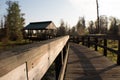 Wooden bridge in swamp. Royalty Free Stock Photo