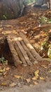 wooden bridge to cross the ditch leading to the forest with scattered dry leaves Royalty Free Stock Photo