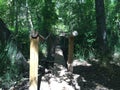 Wooden bridge to fossil creek water