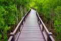 Wooden bridge to the jungle,Thailand Royalty Free Stock Photo