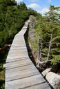 Wooden bridge on trail in Karkonosze mountains