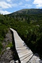 Wooden bridge on trail in Karkonosze mountains