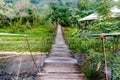 Wooden bridge in tropical rain forest Royalty Free Stock Photo