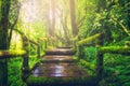 Wooden bridge in tropical rain forest Royalty Free Stock Photo
