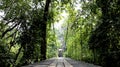 Wooden bridge in tropical rain forest - Image