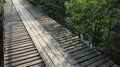 Wooden bridge in tropical rain forest - Image