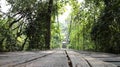 Wooden bridge in tropical rain forest - Image