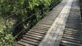 Wooden bridge in tropical rain forest - Image