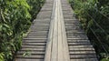 Wooden bridge in tropical rain forest - Image