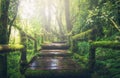 Wooden bridge in tropical rain forest Royalty Free Stock Photo