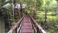 Wooden Bridge in the tropical thai jungle Royalty Free Stock Photo