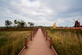 A wooden bridge in a tulip garden.