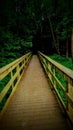 Wooden bridge into the unknown