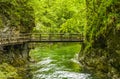 Wooden bridge in Vintgar gorge