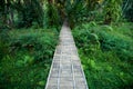 Wooden bridge walkway Bamboo bridge spanning to the garden