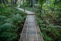 Wooden bridge walkway Bamboo bridge spanning to the garden