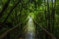 Wooden bridge walkway in to the rain forest Royalty Free Stock Photo