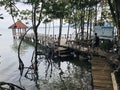 Wooden bridge walkway to sea view pavilion of `Mature mangrove forest and black sand beach` in Trat, Thailand.