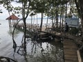 Wooden bridge walkway to sea view pavilion of `Mature mangrove forest and black sand beach` in Trat, Thailand.