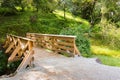 Wooden bridge Royalty Free Stock Photo