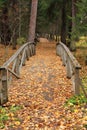 Wooden bridges in an autumn forest Royalty Free Stock Photo