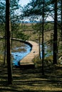 Wooden bridges for the passage in the forest Royalty Free Stock Photo