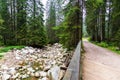 A wooden bringe with a dried up lake with many rocks and a green forest Royalty Free Stock Photo