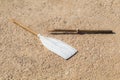 Wooden broken oar, on tan concrete, in the sun.